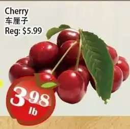 Food Depot Supermarket Cherry offer