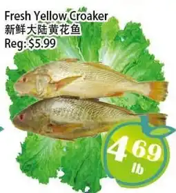 Food Depot Supermarket Fresh Yellow Croaker offer
