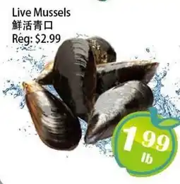 Food Depot Supermarket Live Mussels offer