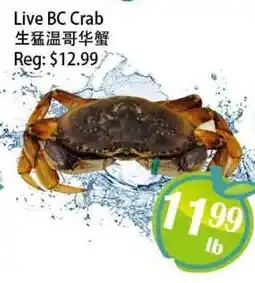 Food Depot Supermarket Live BC Crab offer
