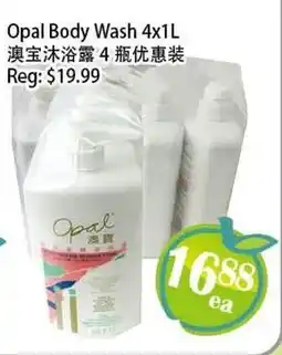 Food Depot Supermarket Opal Body Wash offer