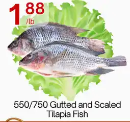 Lucky Supermarket Gutted and Scaled Tilapia Fish offer