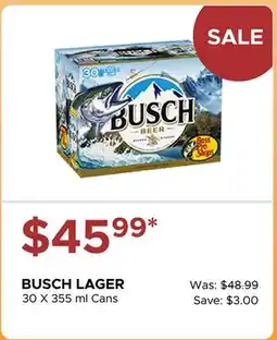The Beer Store BUSCH LAGER offer