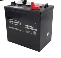 Princess Auto Deep Cycle Batteries offer