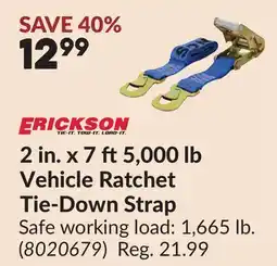 Princess Auto ERICKSON 2 in. x 7 ft 5,000 Lb Vehicle Ratchet Tie-Down Strap offer