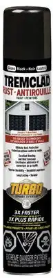 Princess Auto Rust Paints, Gloss Black offer