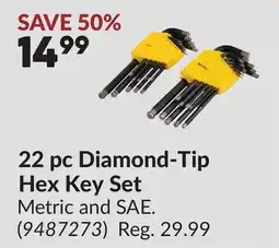 Princess Auto 22 pc Diamond-Tip Hex Key Set offer