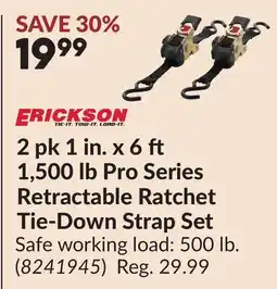 Princess Auto ERICKSON 2 pk 1 in. x 6 ft 1,500 lb Pro Series Retractable Ratchet Tie-Down Strap Set offer