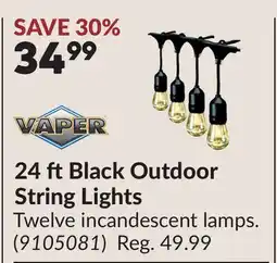 Princess Auto 24 ft Black Outdoor String Lights offer
