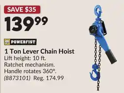 Princess Auto 1 Ton Lever Chain Hoist offer