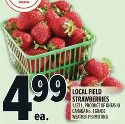 Metro Local field strawberries offer