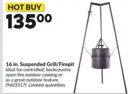 Princess Auto 16 in. Suspended Grill/Firepit offer