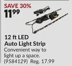 Princess Auto 12 ft LED Auto Light Strip offer
