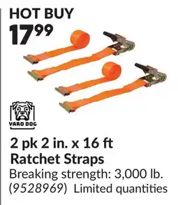 Princess Auto 2 pk 2 in. x 16 ft Ratchet Straps offer