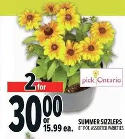 Metro Summer sizzlers offer