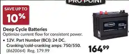 Princess Auto Deep Cycle Batteries offer