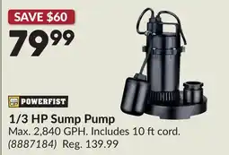 Princess Auto 1/3 HP Sump Pump offer