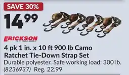Princess Auto ERICKSON 4 pk 1 in. x 10 ft 900 lb Camo Ratchet Tie-Down Strap Set offer