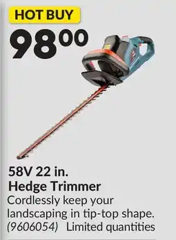 Princess Auto 58V 22 in. Hedge Trimmer offer