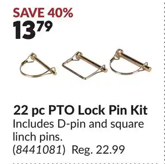 Princess Auto 22 pc PTO Lock Pin Kit offer