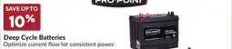 Princess Auto Deep Cycle Batteries offer