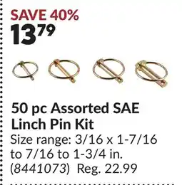 Princess Auto 50 pc Assorted SAE Linch Pin Kit offer