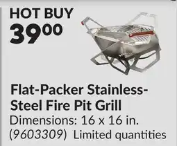 Princess Auto Flat-Packer Stainless-Steel Fire Pit Grill offer