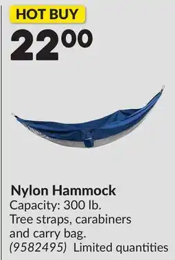 Princess Auto Nylon Hammock offer