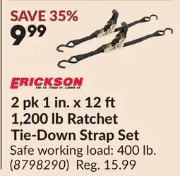 Princess Auto 2 pk 1 in. x 12 1,200 lb Ratchet Tie-Down Strap Set offer