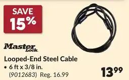 Princess Auto Master Lock Looped-End Steel Cable offer