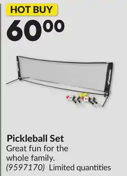 Princess Auto Pickleball Set offer