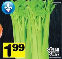 Supermarché PA CÉLERI | Celery offer