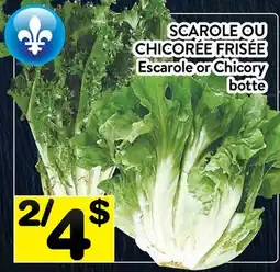 Supermarché PA SCAROLE OU CHICORÉE FRISÉE | Escarole or Chicory botte offer