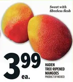 Metro Haden tree-ripened mangoes offer