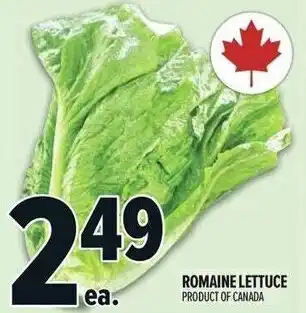 Metro Romaine Lettuce offer