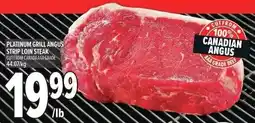 Metro Platinum grill angus strip loin steak offer