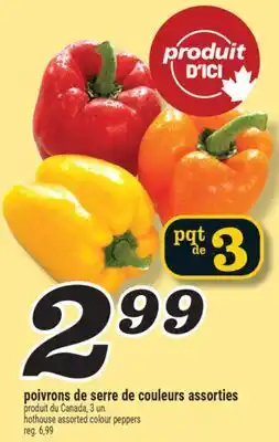 Marché Richelieu POIVRONS DE SERRE DE COULEURS ASSORTIES | HOTHOUSE ASSORTED COLOUR PEPPERS offer