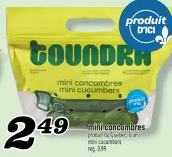 Marché Richelieu MINI CONCOMBRES | MINI CUCUMBERS offer