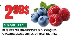 Marches Tau BLEUETS OU FRAMBOISES BIOLOGIQUES offer