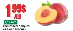 Marches Tau PÊCHES BIOLOGIQUES offer