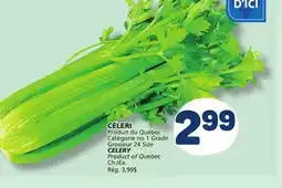 Marché Bonichoix CELERY offer