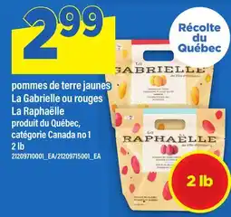 Maxi POMMES DE TERRE JAUNES LA GABRIELLE OU ROUGES LA RAPHAËLLE, 2 lb offer