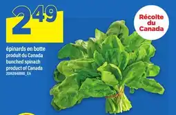 Maxi ÉPINARDS EN BOTTE | BUNCHED SPINACH offer