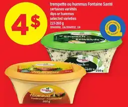 Maxi TREMPETTE OU HUMMUS FONTAINE SANTÉ | DIPS OR HUMMUS offer