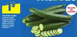 Maxi CONCOMBRES ANGLAIS | ENGLISH CUCUMBERS offer