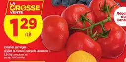Maxi TOMATES SUR VIGNE offer