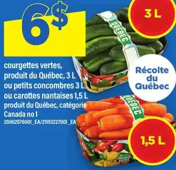 Maxi COURGETTES VERTES, 3 L, OU PETITS CONCOMBRES, 3 L, OU CAROTTES NANTAISES, 1,5 L offer