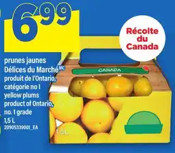 Maxi PRUNES JAUNES DÉLICES DU MARCHÉ | YELLOW PLUMS offer