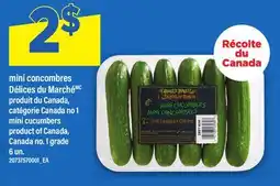 Maxi MINI CONCOMBRES DÉLICES DU MARCHÉMC | MINI CUCUMBERS, 6 UN offer