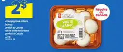 Maxi CHAMPIGNONS ENTIERS BLANCS | WHOLE WHITE MUSHROOMS offer